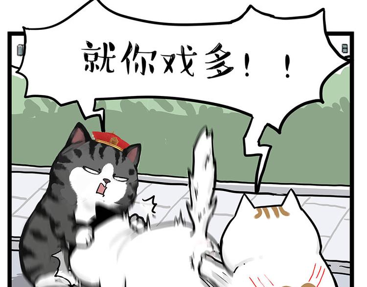 吾皇巴扎黑 - 第277话 猫斗猫 - 4