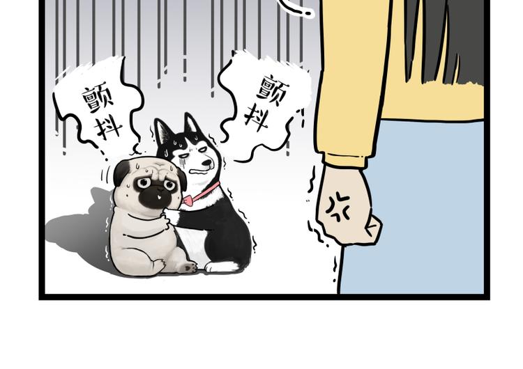 吾皇巴扎黑 - 第279話 萌獸→猛獸 - 3