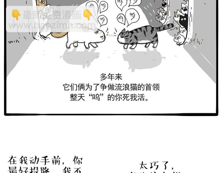 吾皇巴扎黑 - 第291话 好兄弟，一辈子(1/3) - 6