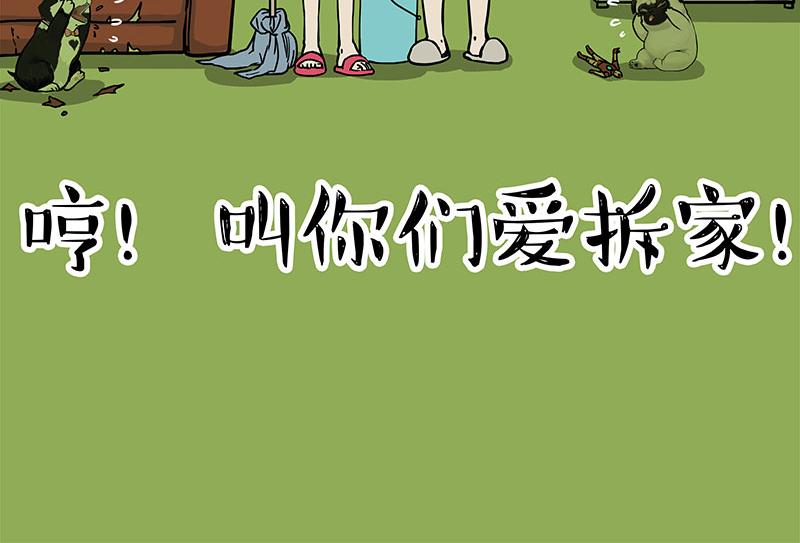 吾皇巴扎黑 - 第297话 无处不在拦路猫 - 5