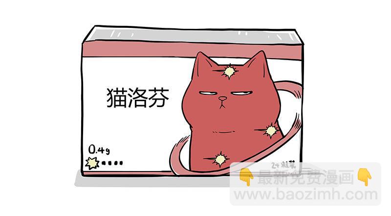 吾皇巴扎黑 - 第359话 猫洛芬 - 2