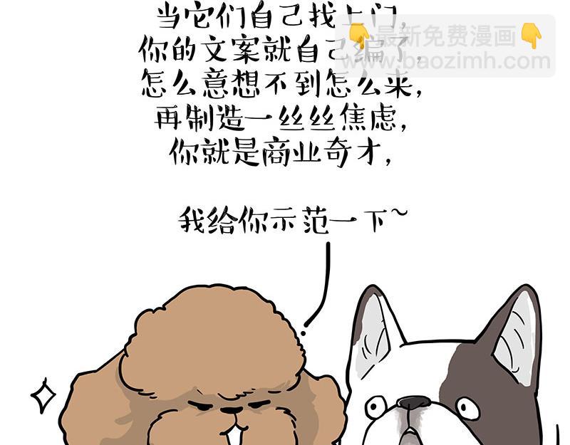 第365话 “神犬”巴扎黑41