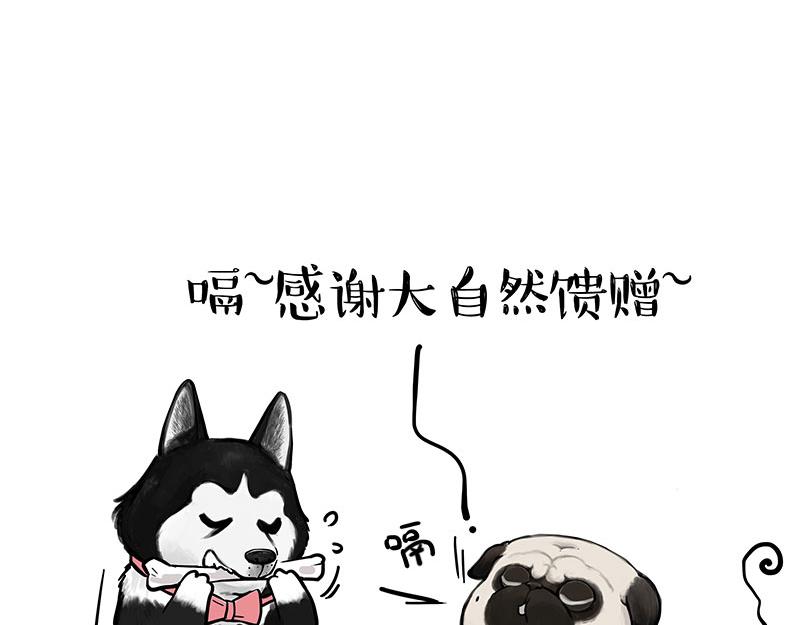 吾皇巴扎黑 - 第373話 都是因爲愛 - 4