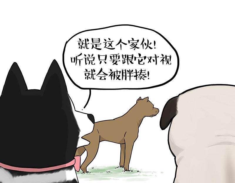 吾皇巴扎黑 - 第375話 偶遇惡犬 - 1