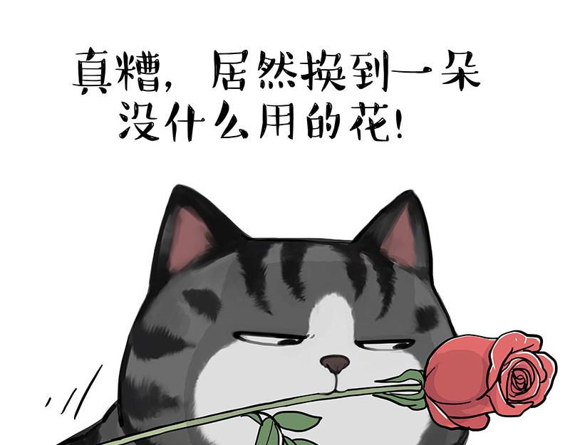 吾皇巴扎黑 - 第377話 謝謝小貓咪 - 1