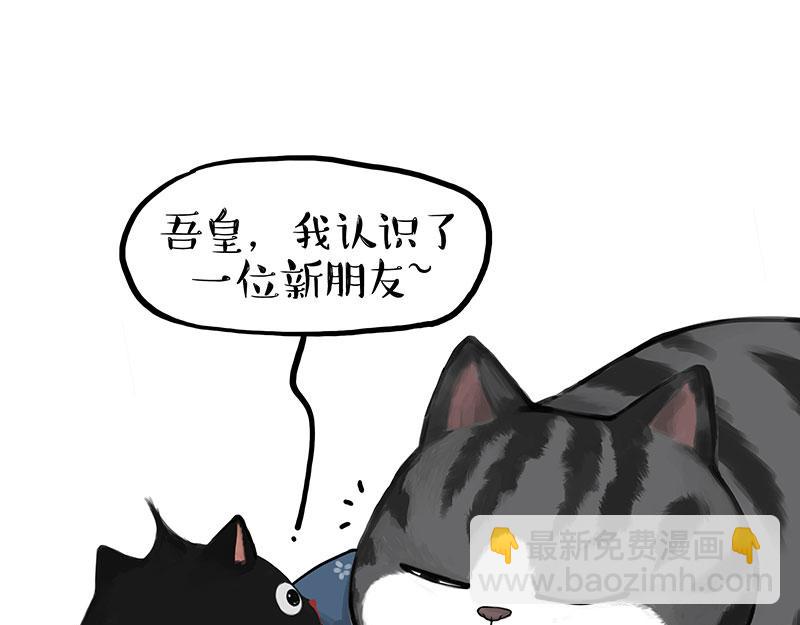 吾皇巴扎黑 - 第377话 谢谢小猫咪 - 6