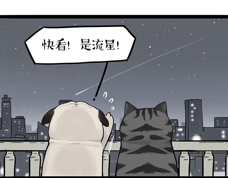 吾皇巴扎黑 - 第395話 流星靈得很 - 7