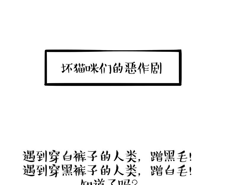 吾皇巴扎黑 - 第405话 猫好狗好，人坏 - 1