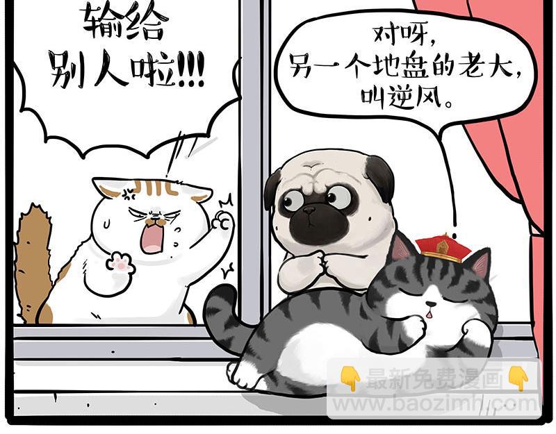 吾皇巴扎黑 - 第445話 你就是傲霸？(1/2) - 2