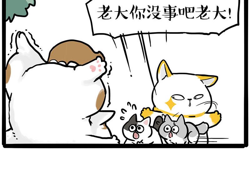 吾皇巴扎黑 - 第445話 你就是傲霸？(1/2) - 4