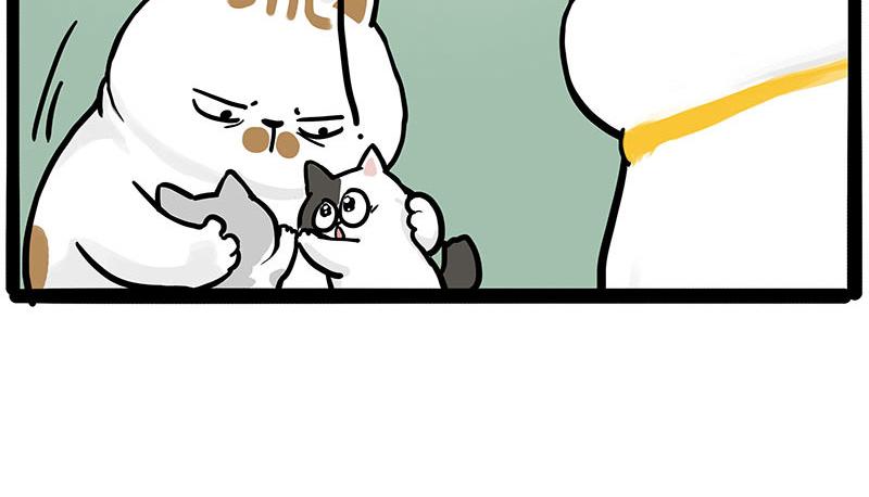 吾皇巴扎黑 - 第445話 你就是傲霸？(1/2) - 6