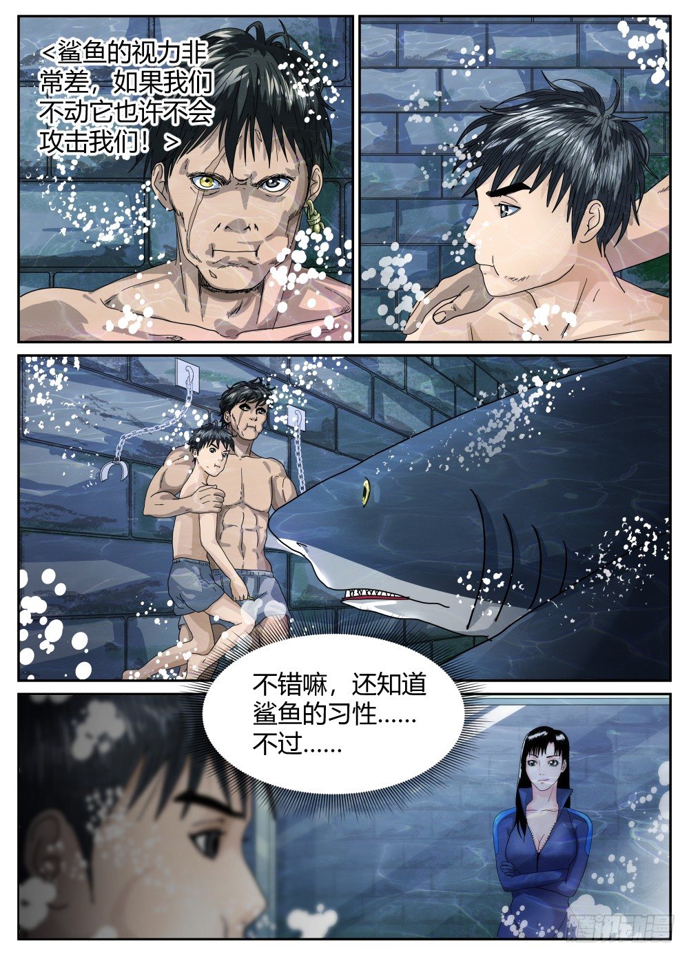 28再遇鲨鱼-第29话