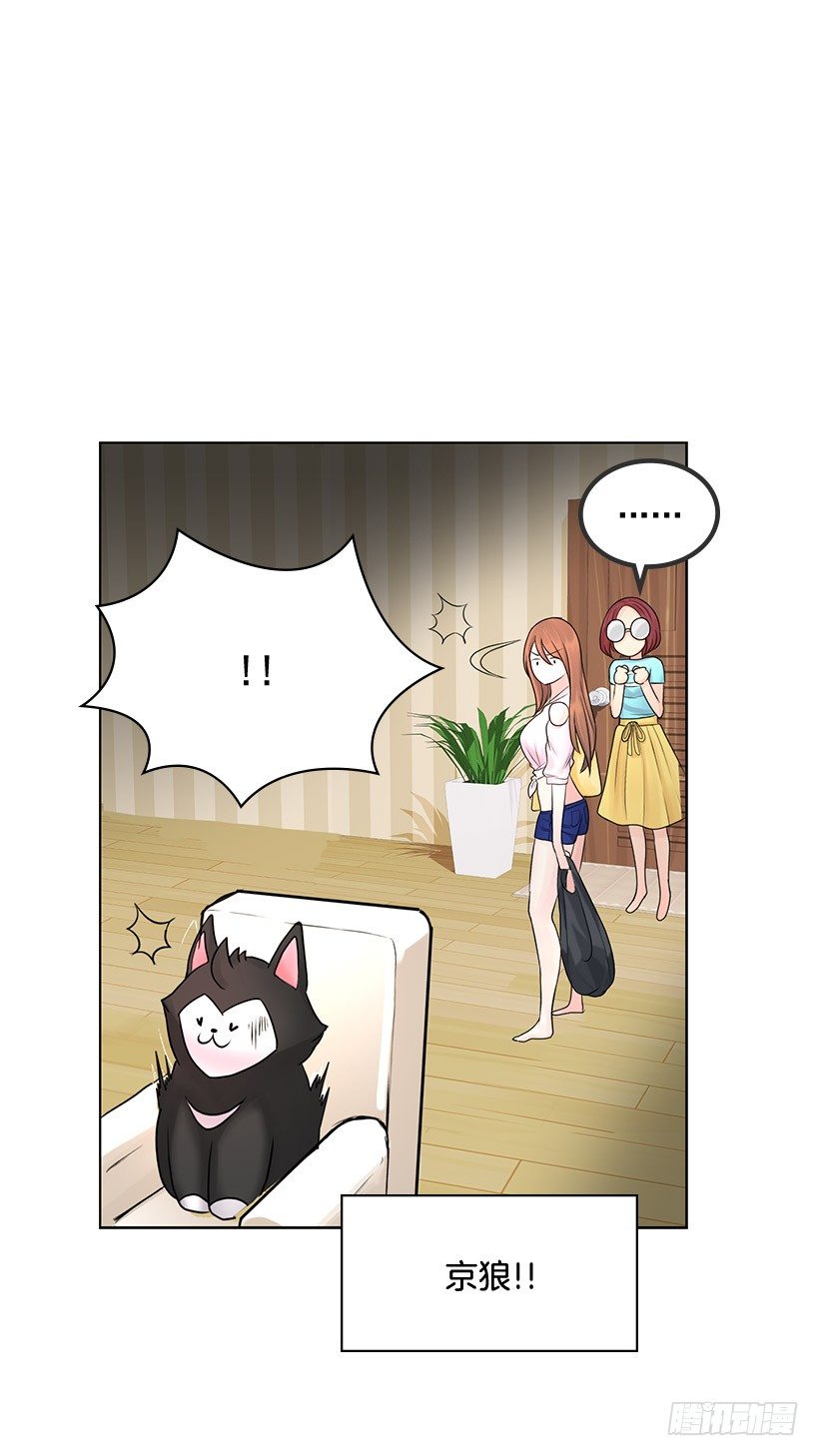 地下室很奇怪(1/2)-第13话