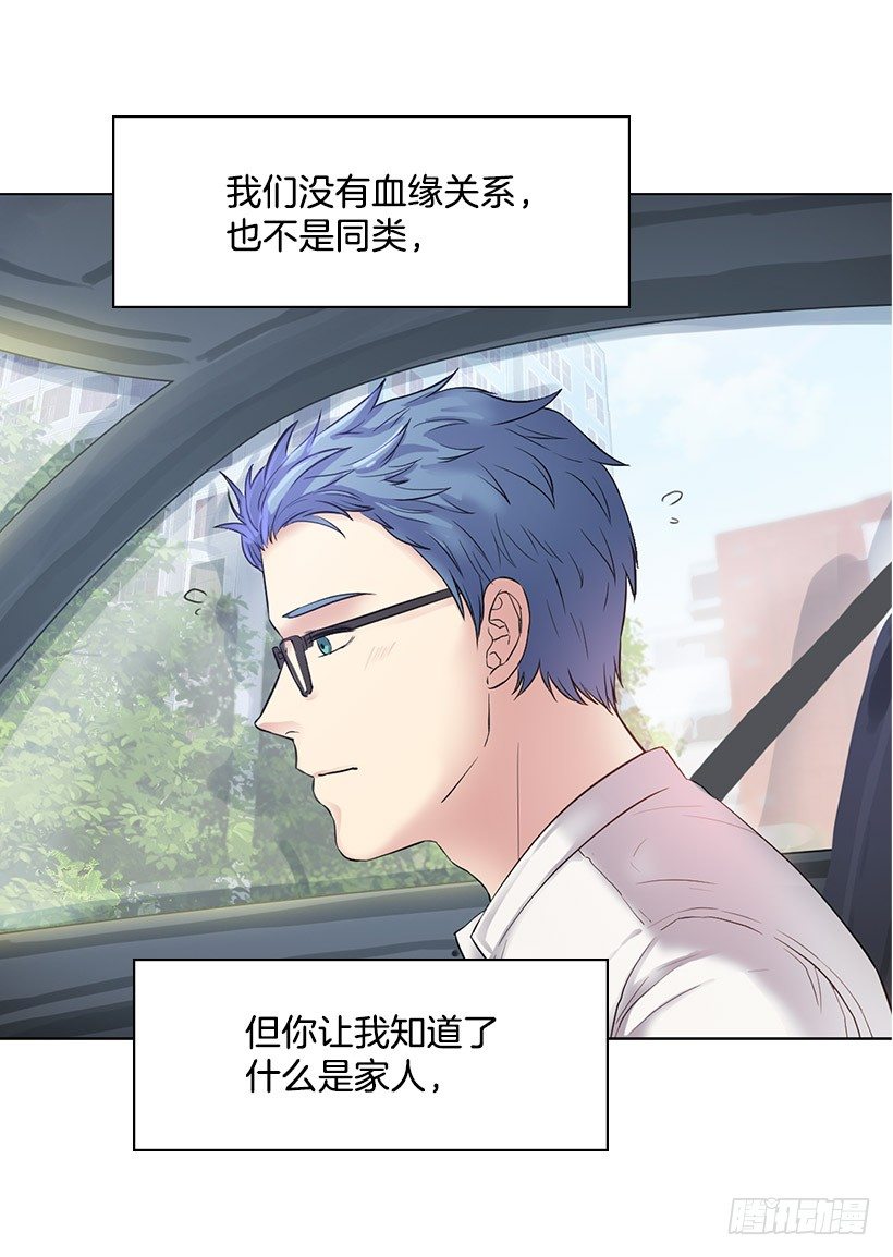 宝石精灵的心愿(1/2)-第7话