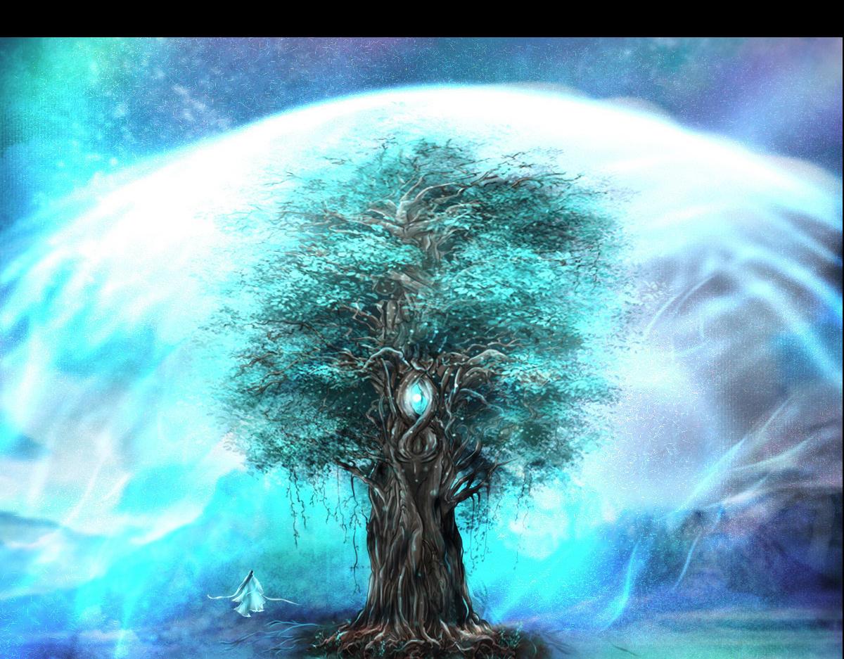 第一章  极光之地(1/2)-第1话