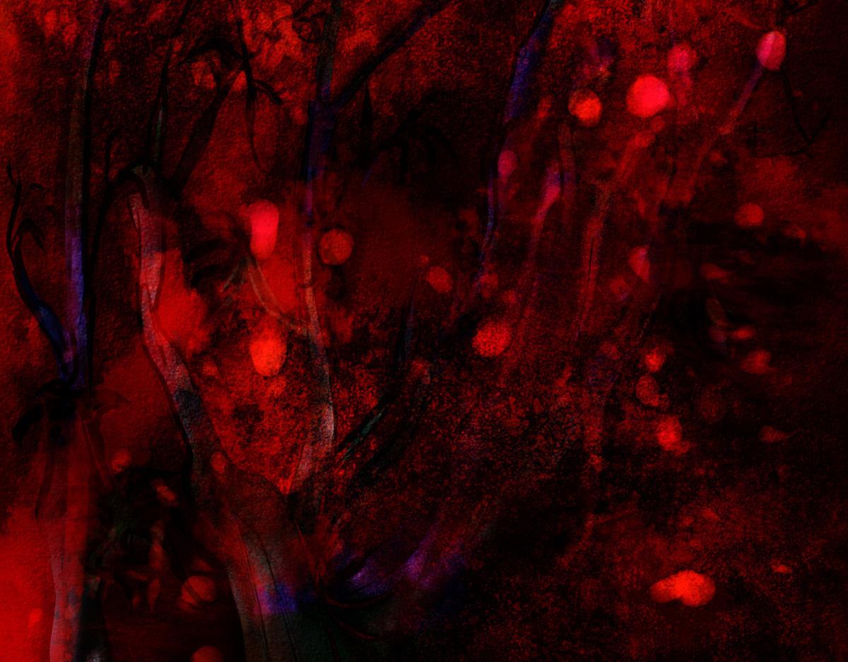 第一章  极光之地(1/2)-第1话