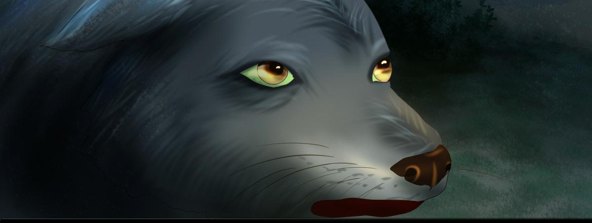 第四十四章  狼的谎言-第45话