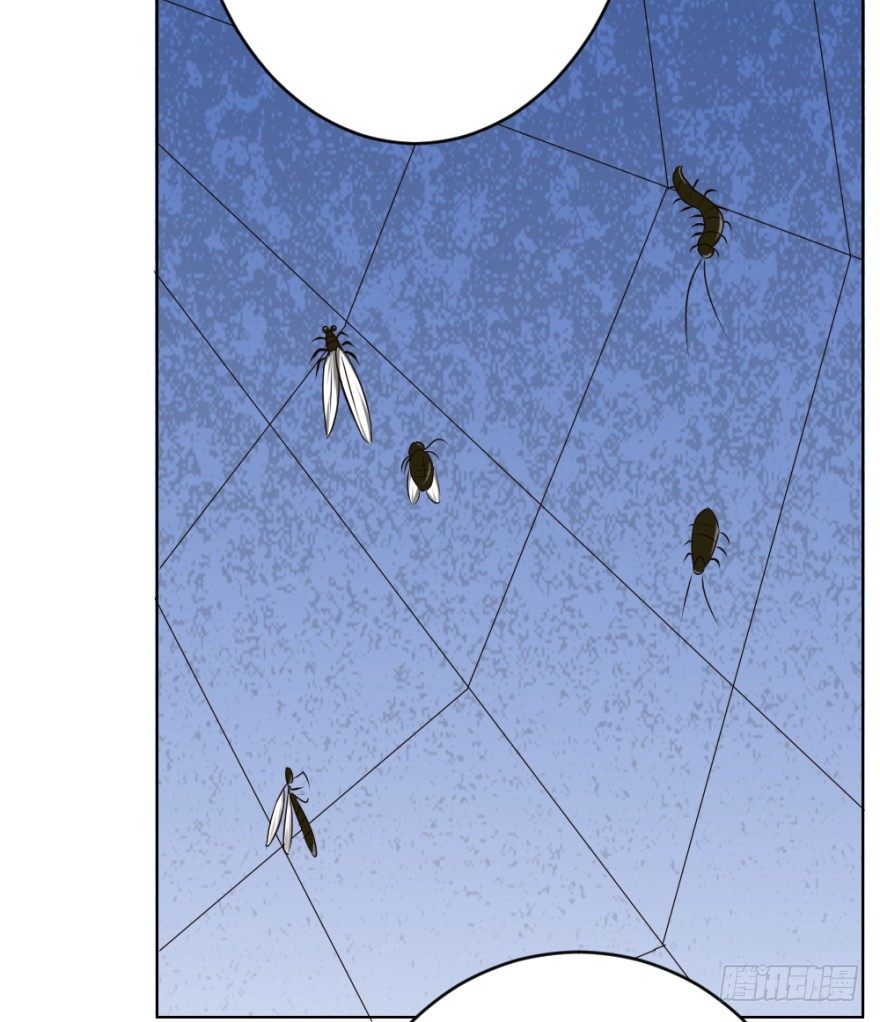 第二十三回 网红回字楼-第23话