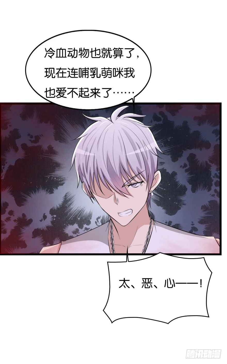 第八十一回 群猫-第81话