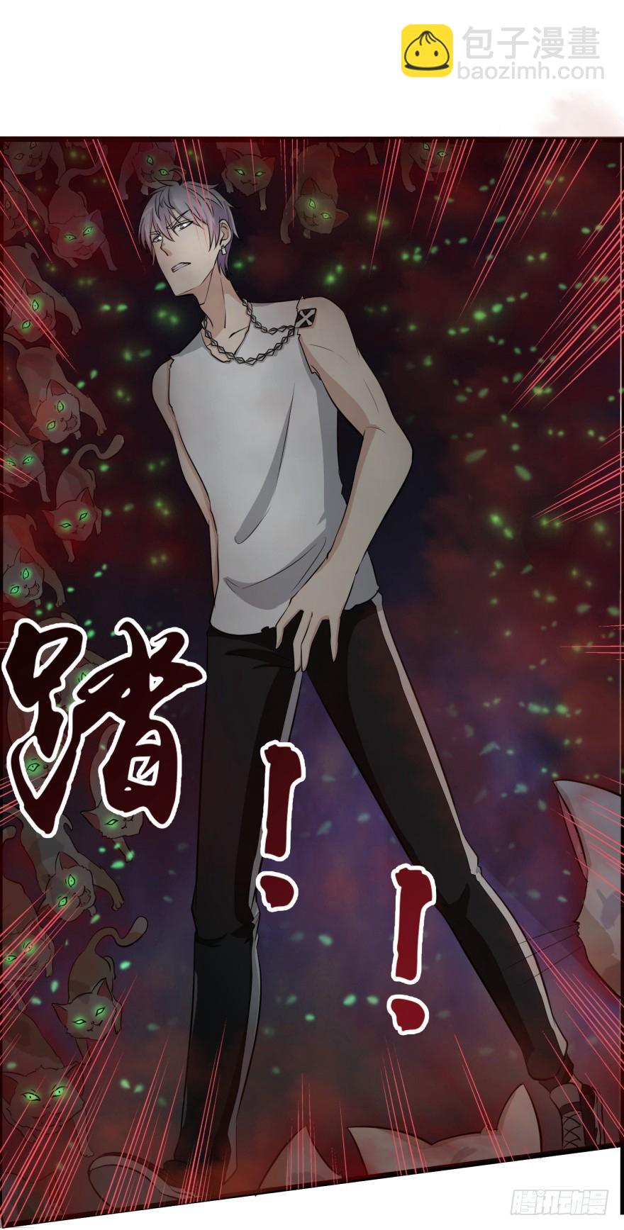 第八十一回 群猫-第81话