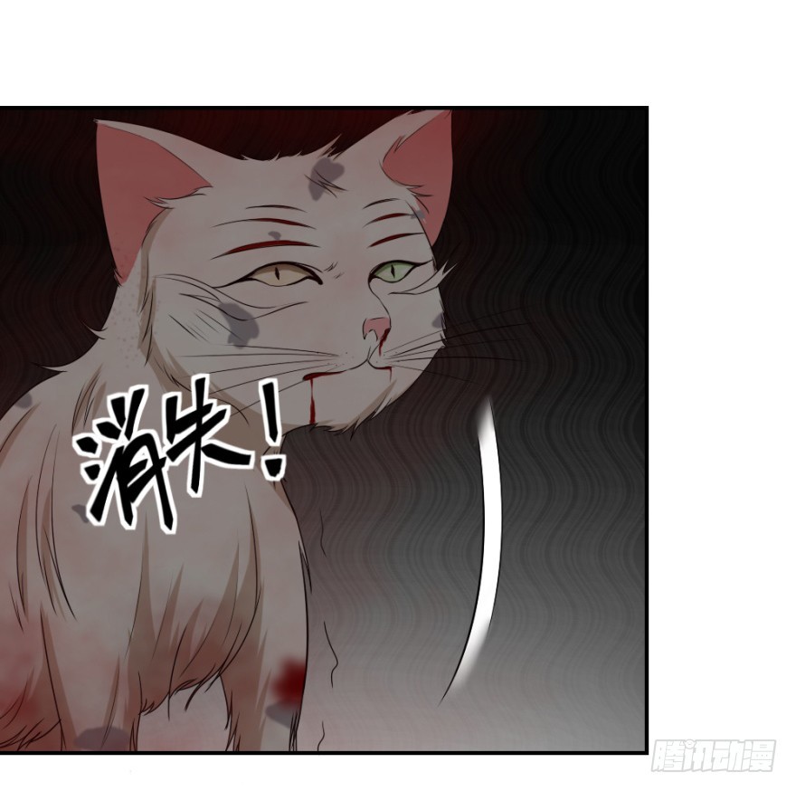 第八十五回 又入未知界-第85话