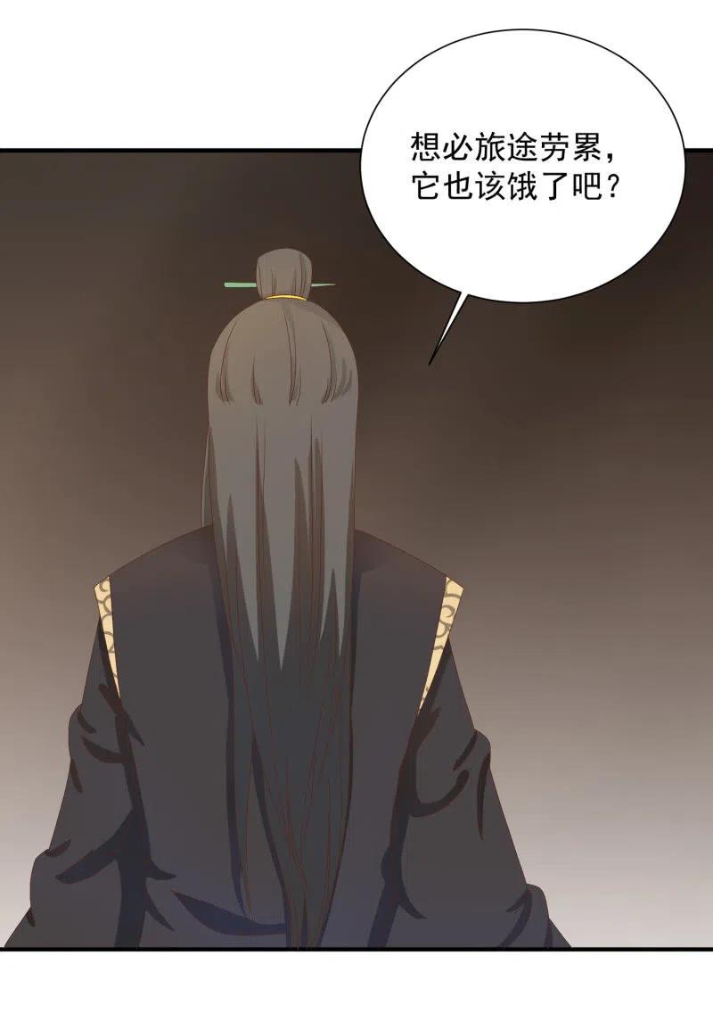 无赖王妃【047 跟踪】-第49话