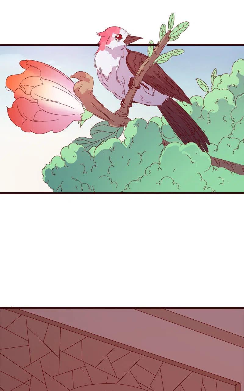 无赖王妃【065劫狱】(1/2)-第67话