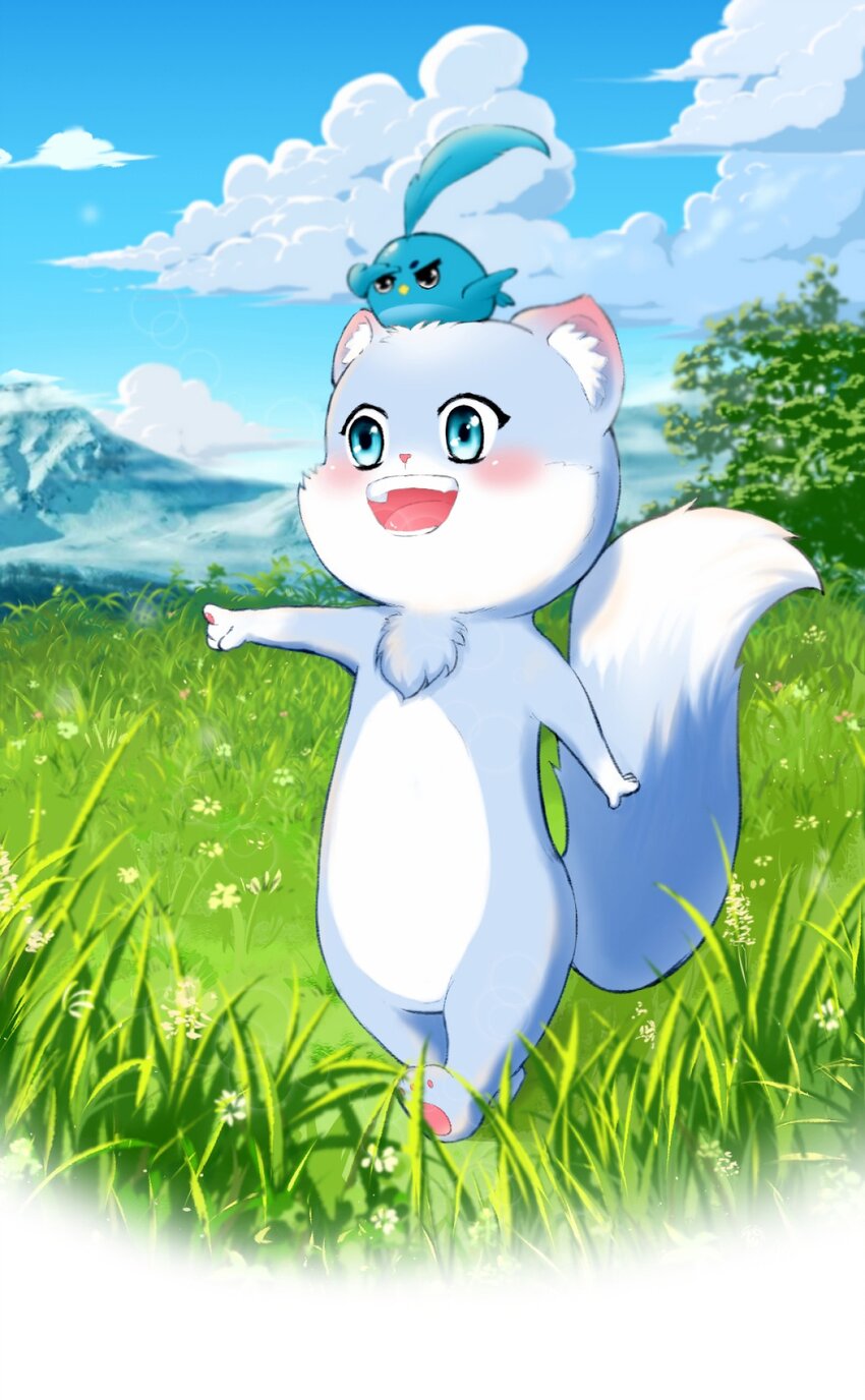 01 小貂出世-第1话