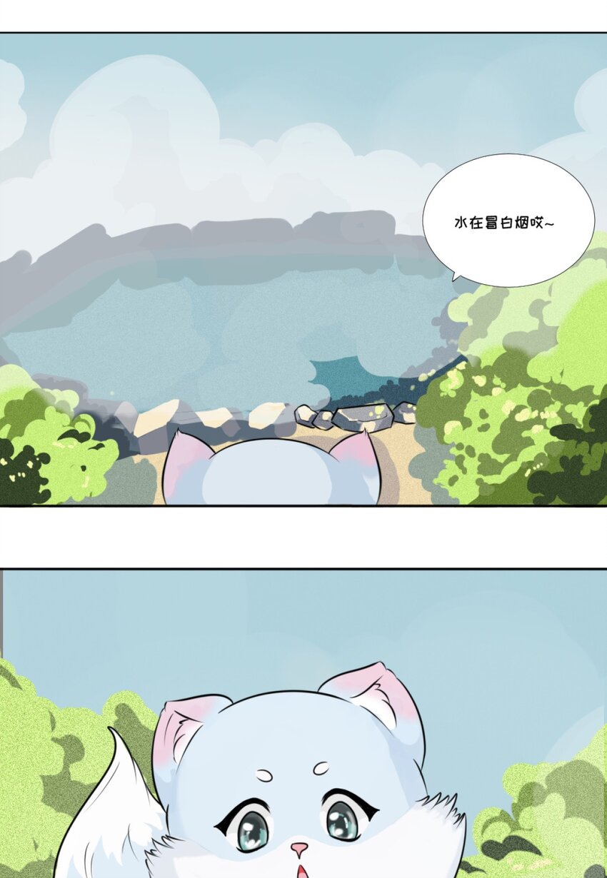 01 小貂出世-第1话