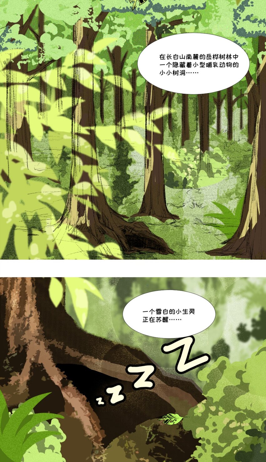 01 小貂出世-第1话