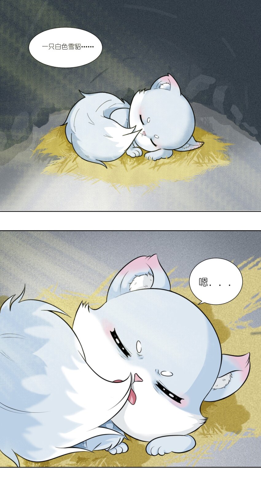 01 小貂出世-第1话