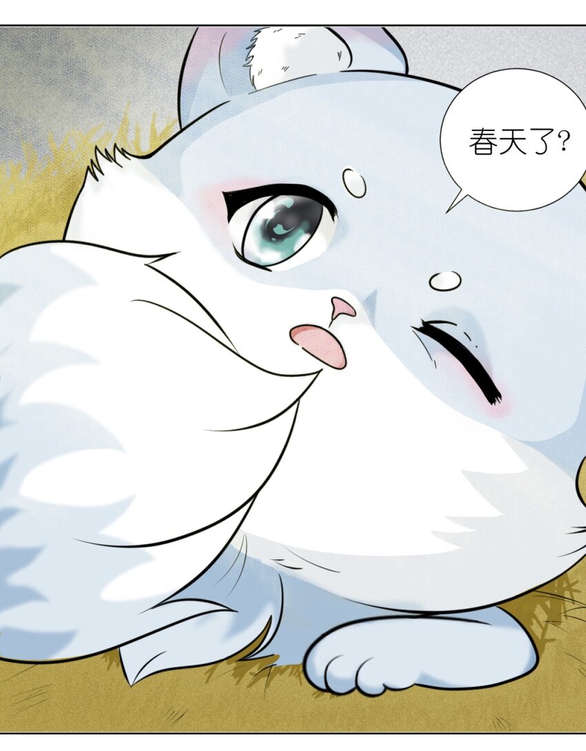 01 小貂出世-第1话