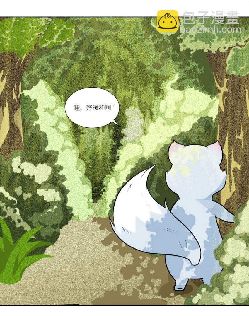 01 小貂出世-第1话