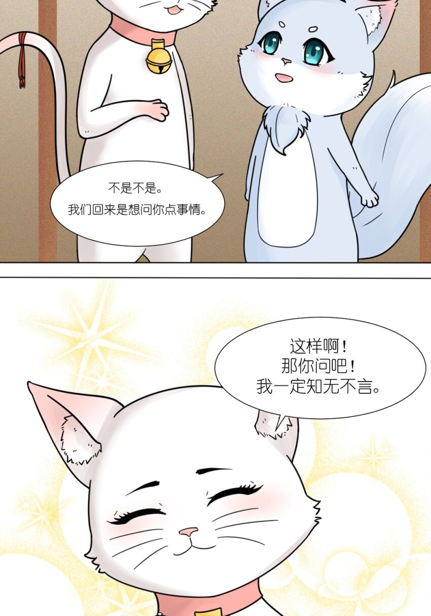 11 关心则乱-第11话