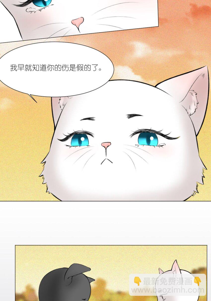 13 我摊牌了-第13话