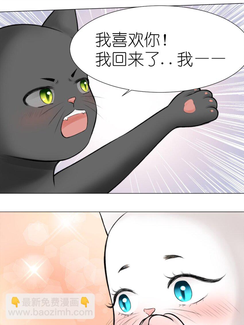 13 我摊牌了-第13话