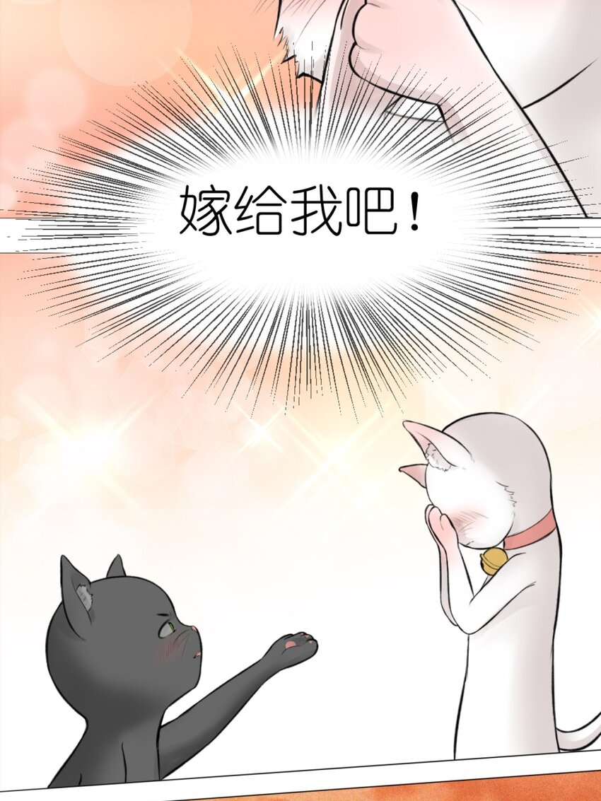 13 我摊牌了-第13话