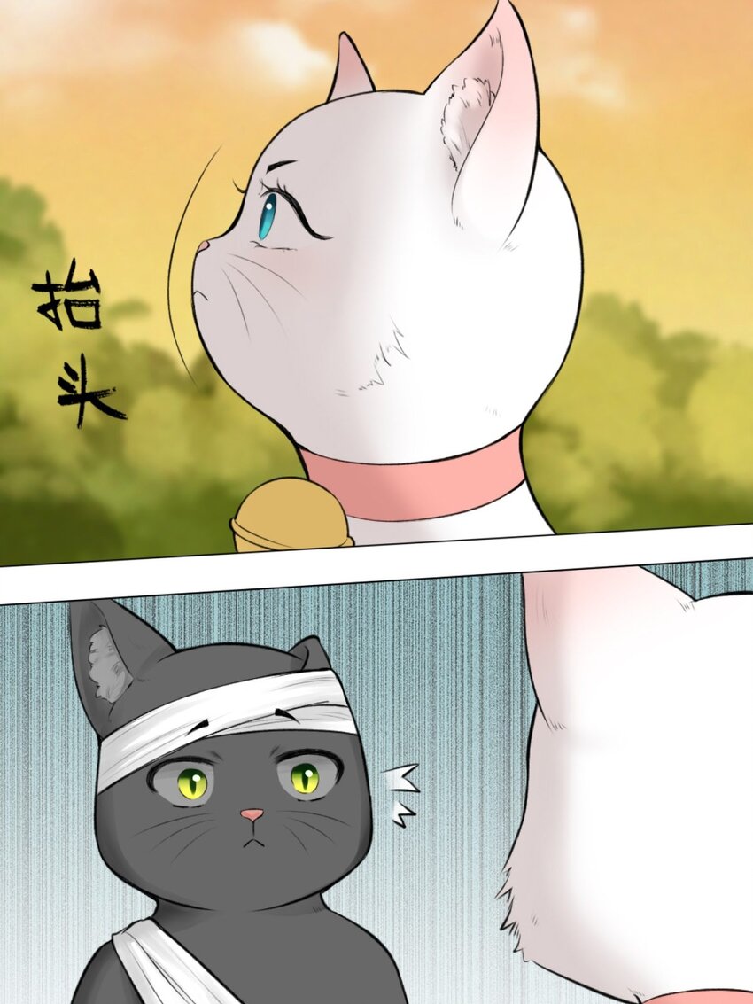 13 我摊牌了-第13话