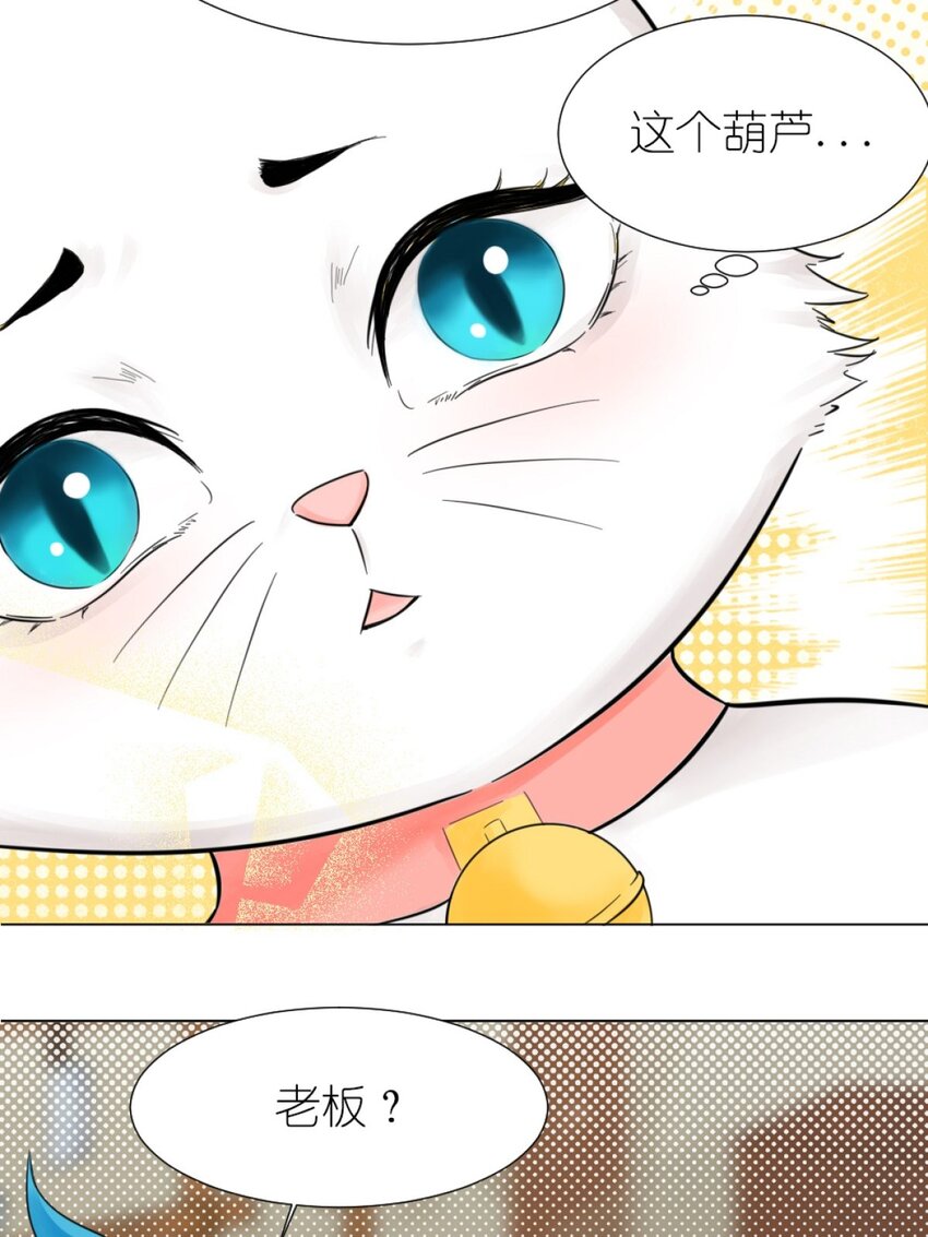 09 碰瓷猫-第9话