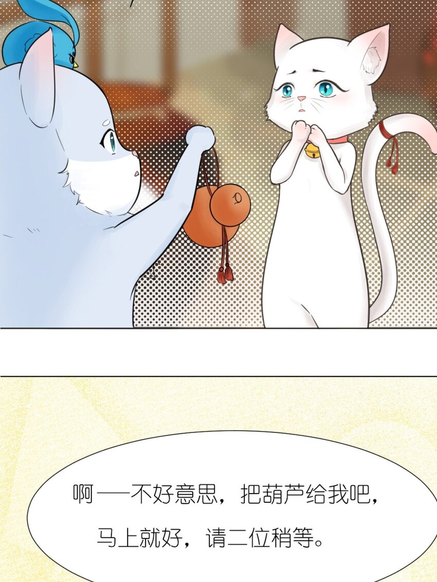 09 碰瓷猫-第9话