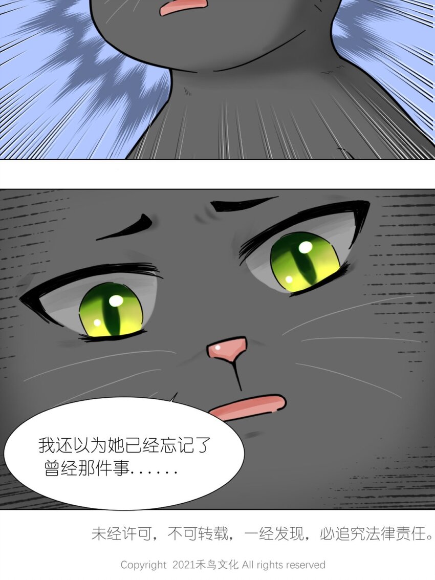 09 碰瓷猫-第9话