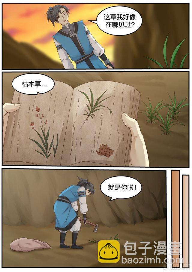 13.jpg