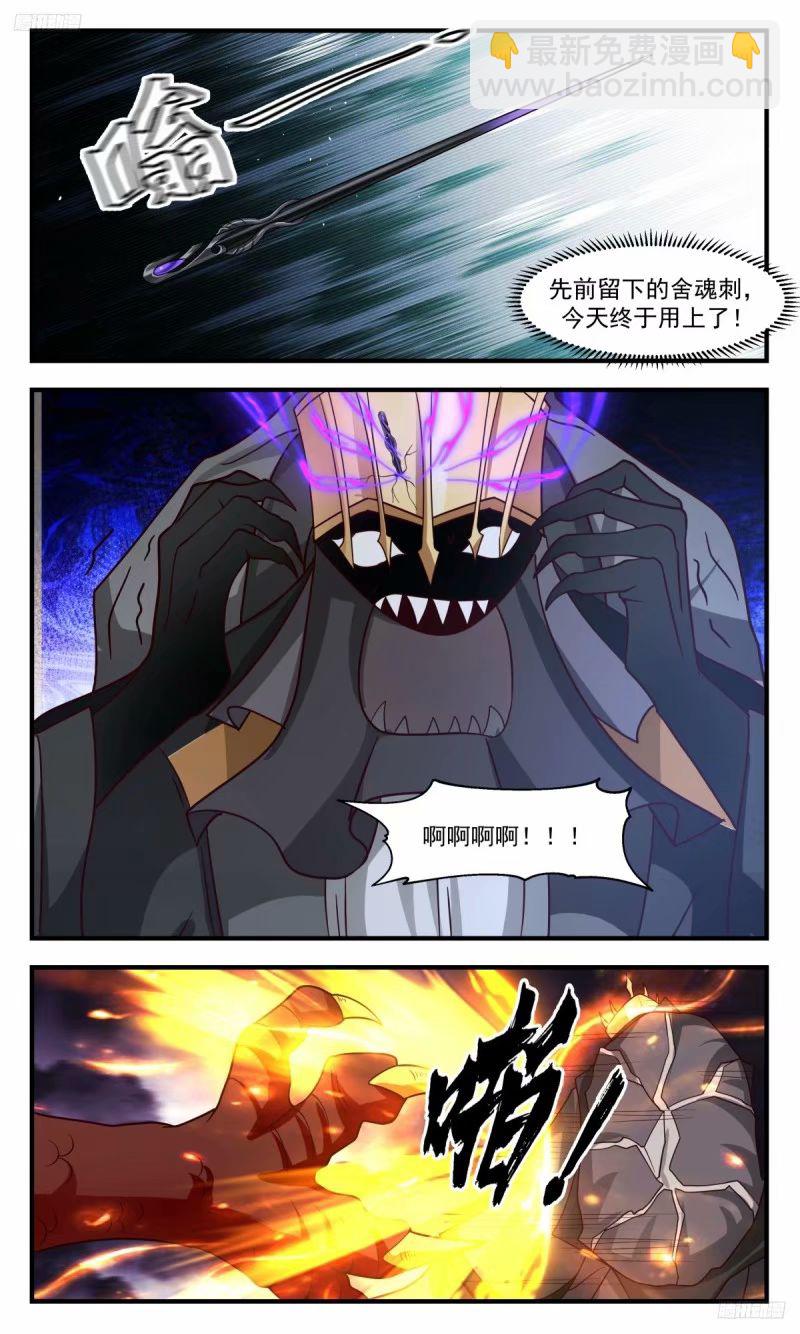 11.jpg