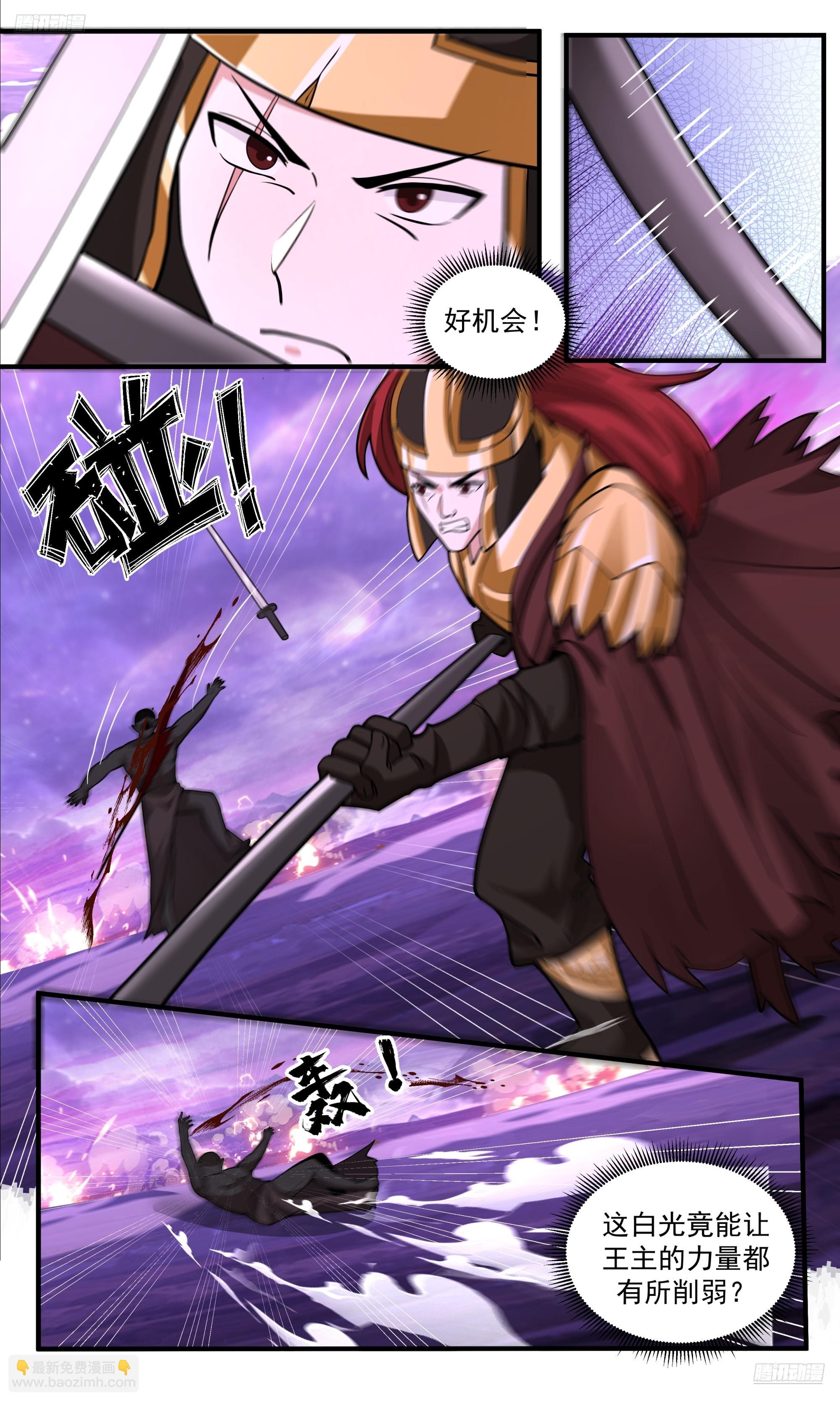 12.jpg