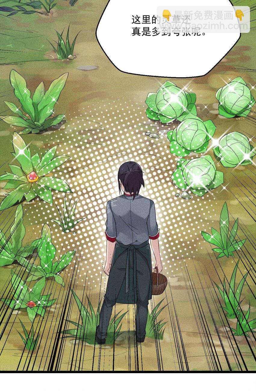005 灵草园(1/2)-第5话