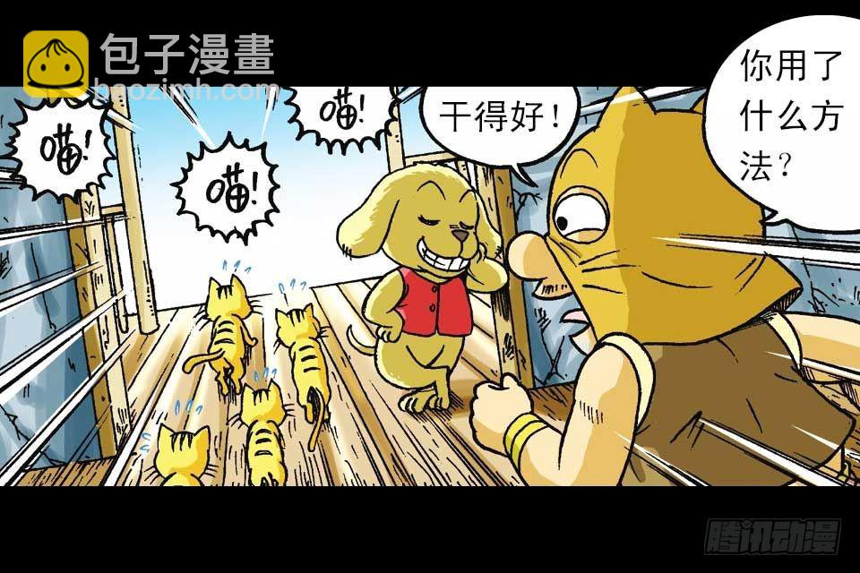 第55集 猫奴复仇记(1/2)-第55话