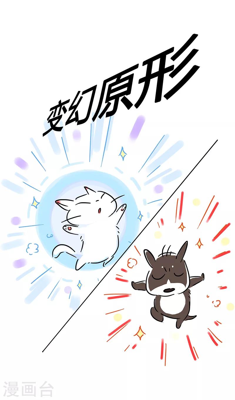 番外之抗击疫情-第65话