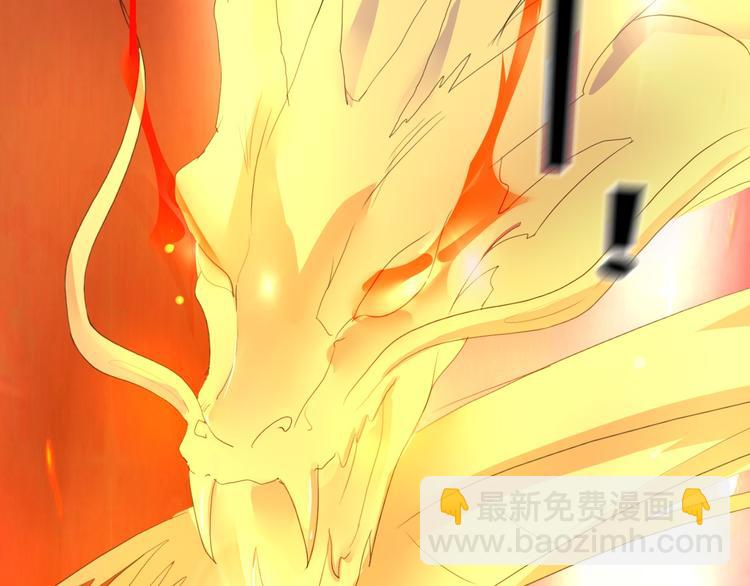 第13话  龙振飞应战(1/2)-第13话