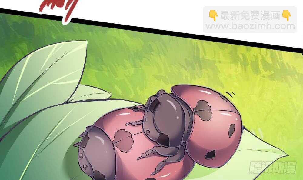 第179话 切磋-第181话