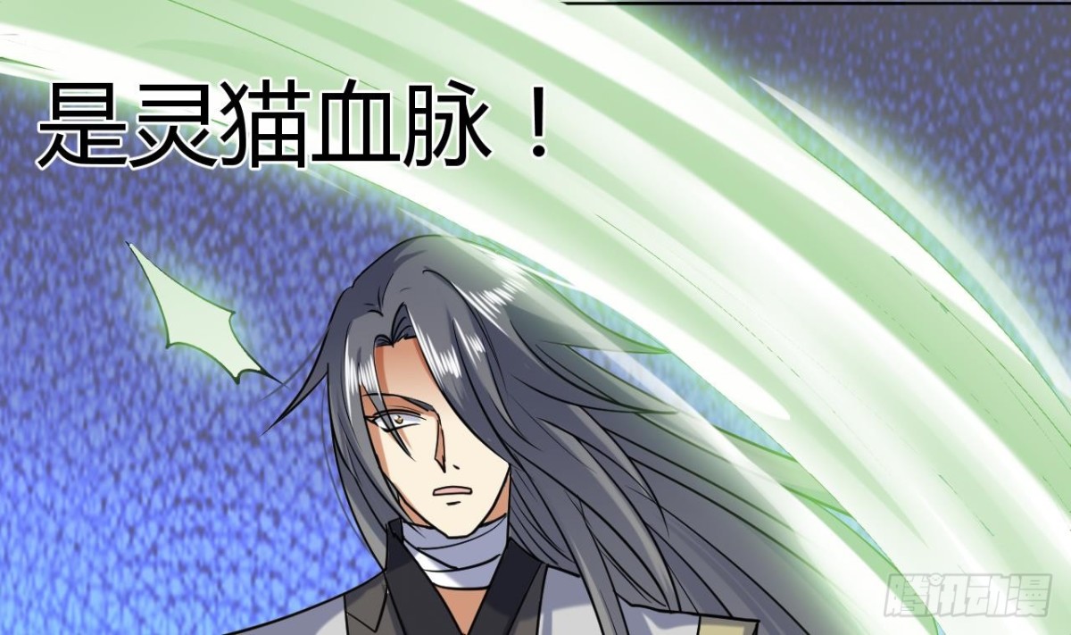 第55话 灵猫血脉(1/2)-第55话